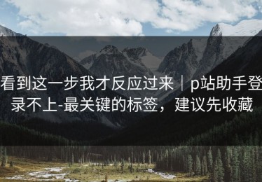 看到这一步我才反应过来｜p站助手登录不上-最关键的标签，建议先收藏