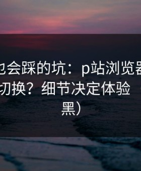 老用户也会踩的坑：p站浏览器｜多设备怎么切换？细节决定体验（不吹不黑）