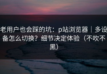 老用户也会踩的坑：p站浏览器｜多设备怎么切换？细节决定体验（不吹不黑）