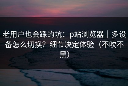 老用户也会踩的坑：p站浏览器｜多设备怎么切换？细节决定体验（不吹不黑）