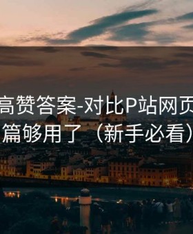 评论区高赞答案-对比P站网页版，这篇够用了（新手必看）