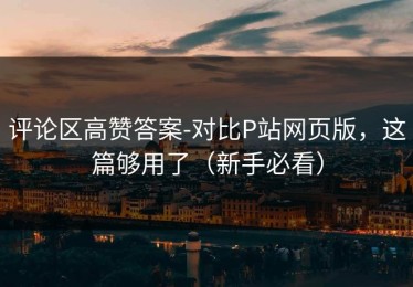 评论区高赞答案-对比P站网页版，这篇够用了（新手必看）
