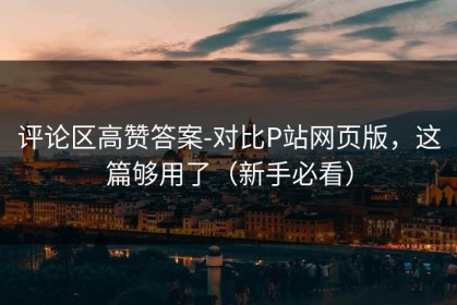 评论区高赞答案-对比P站网页版，这篇够用了（新手必看）