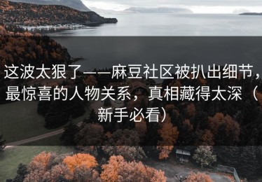 这波太狠了——麻豆社区被扒出细节，最惊喜的人物关系，真相藏得太深（新手必看）