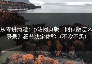 从零讲清楚：p站网页版｜网页版怎么登录？细节决定体验（不吹不黑）