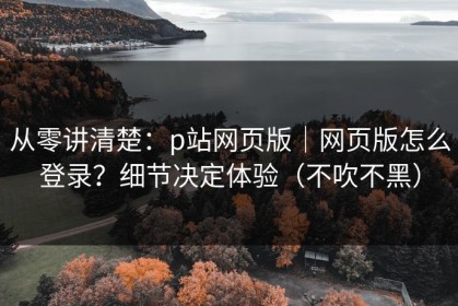 从零讲清楚：p站网页版｜网页版怎么登录？细节决定体验（不吹不黑）