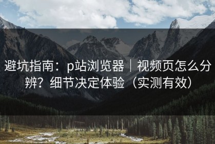 避坑指南：p站浏览器｜视频页怎么分辨？细节决定体验（实测有效）