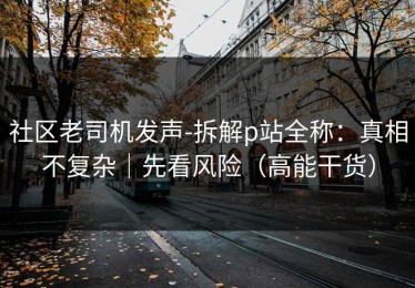 社区老司机发声-拆解p站全称：真相不复杂｜先看风险（高能干货）