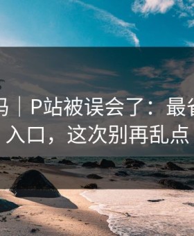 你敢信吗｜P站被误会了：最省时间的入口，这次别再乱点