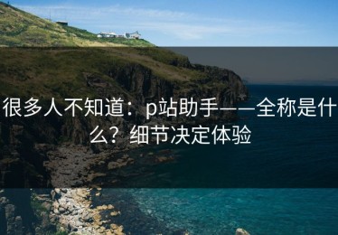 很多人不知道：p站助手——全称是什么？细节决定体验