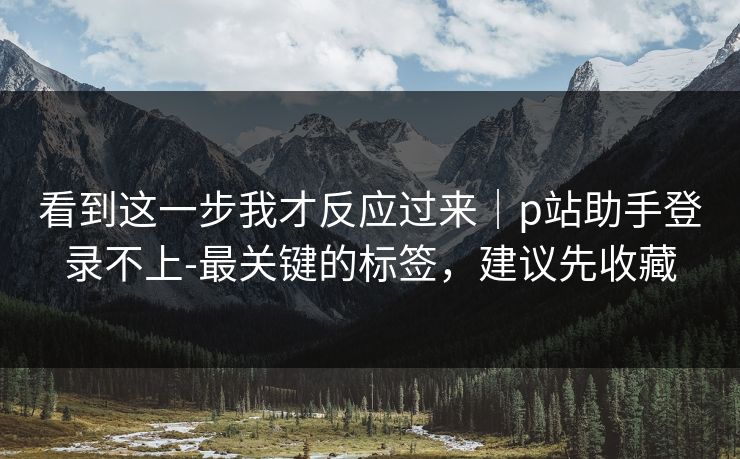 看到这一步我才反应过来｜p站助手登录不上-最关键的标签，建议先收藏