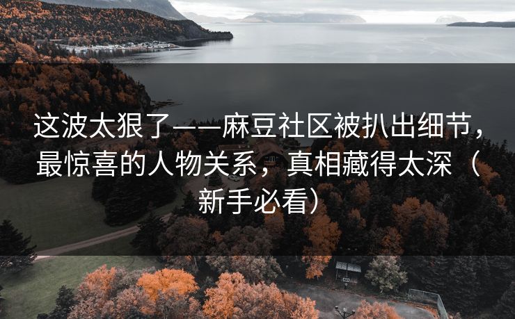 这波太狠了——麻豆社区被扒出细节，最惊喜的人物关系，真相藏得太深（新手必看）