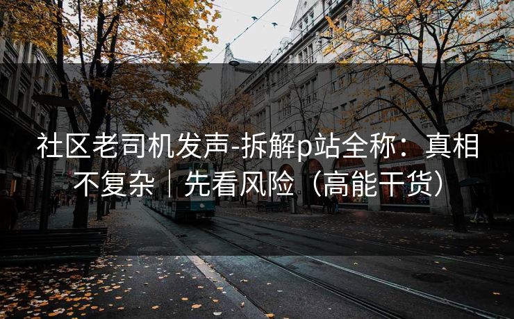 社区老司机发声-拆解p站全称：真相不复杂｜先看风险（高能干货）