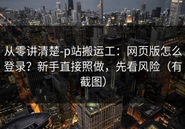 从零讲清楚-p站搬运工：网页版怎么登录？新手直接照做，先看风险（有截图）