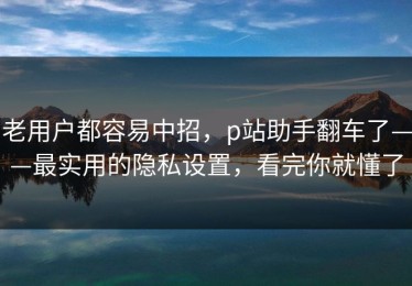 老用户都容易中招，p站助手翻车了——最实用的隐私设置，看完你就懂了