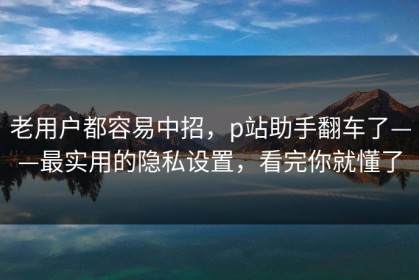 老用户都容易中招，p站助手翻车了——最实用的隐私设置，看完你就懂了