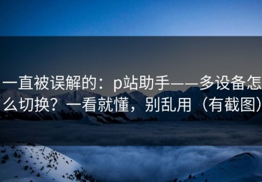 一直被误解的：p站助手——多设备怎么切换？一看就懂，别乱用（有截图）
