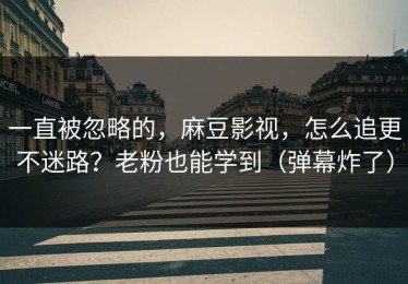 一直被忽略的，麻豆影视，怎么追更不迷路？老粉也能学到（弹幕炸了）