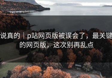 说真的｜p站网页版被误会了，最关键的网页版，这次别再乱点