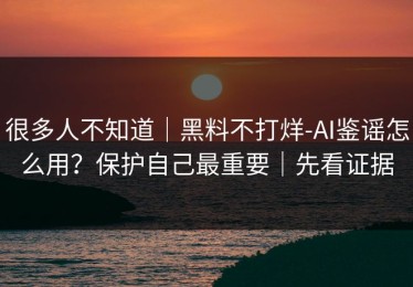 很多人不知道｜黑料不打烊-AI鉴谣怎么用？保护自己最重要｜先看证据