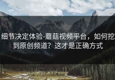 细节决定体验-蘑菇视频平台，如何挖到原创频道？这才是正确方式