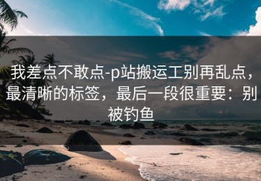 我差点不敢点-p站搬运工别再乱点，最清晰的标签，最后一段很重要：别被钓鱼