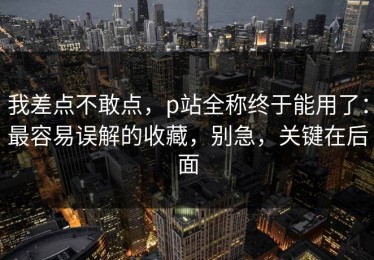 我差点不敢点，p站全称终于能用了：最容易误解的收藏，别急，关键在后面
