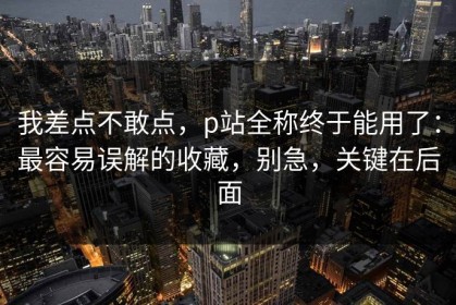 我差点不敢点，p站全称终于能用了：最容易误解的收藏，别急，关键在后面
