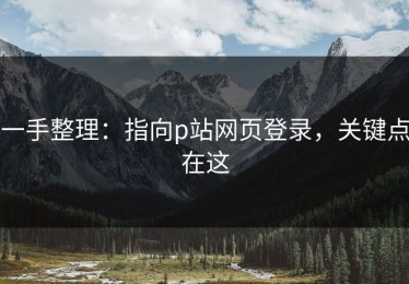 一手整理：指向p站网页登录，关键点在这