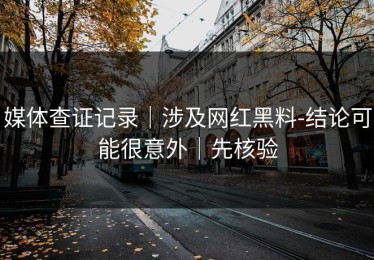 媒体查证记录｜涉及网红黑料-结论可能很意外｜先核验