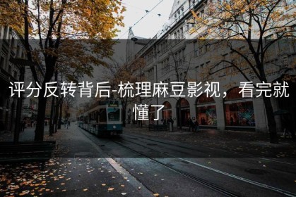 评分反转背后-梳理麻豆影视，看完就懂了