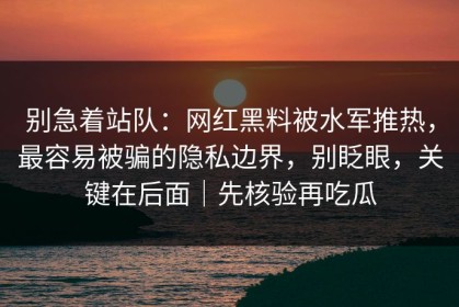 别急着站队：网红黑料被水军推热，最容易被骗的隐私边界，别眨眼，关键在后面｜先核验再吃瓜
