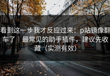 看到这一步我才反应过来：p站镜像翻车了｜最常见的助手插件，建议先收藏（实测有效）