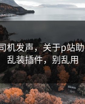 社区老司机发声，关于p站助手-别再乱装插件，别乱用