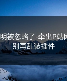 官方说明被忽略了-牵出P站网页版｜别再乱装插件