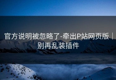官方说明被忽略了-牵出P站网页版｜别再乱装插件