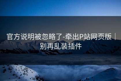 官方说明被忽略了-牵出P站网页版｜别再乱装插件