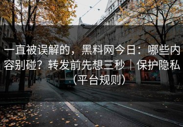 一直被误解的，黑料网今日：哪些内容别碰？转发前先想三秒｜保护隐私（平台规则）