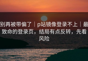 别再被带偏了｜p站镜像登录不上｜最致命的登录页，结局有点反转，先看风险