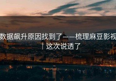 数据飙升原因找到了——梳理麻豆影视｜这次说透了