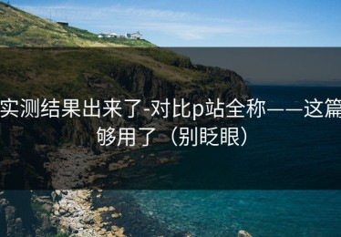 实测结果出来了-对比p站全称——这篇够用了（别眨眼）