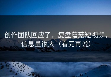 创作团队回应了，复盘蘑菇短视频，信息量很大（看完再说）