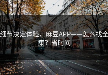 细节决定体验，麻豆APP——怎么找全集？省时间