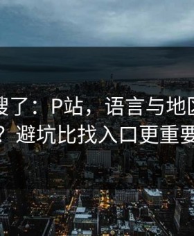 别再瞎搜了：P站，语言与地区怎么切？避坑比找入口更重要