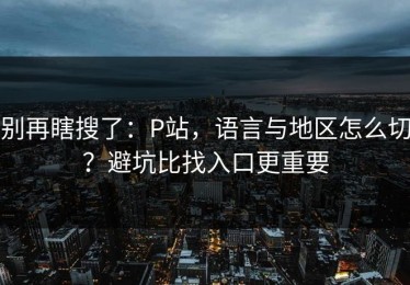 别再瞎搜了：P站，语言与地区怎么切？避坑比找入口更重要