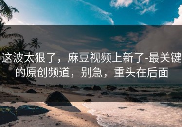 这波太狠了，麻豆视频上新了-最关键的原创频道，别急，重头在后面