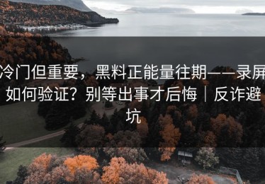 冷门但重要，黑料正能量往期——录屏如何验证？别等出事才后悔｜反诈避坑