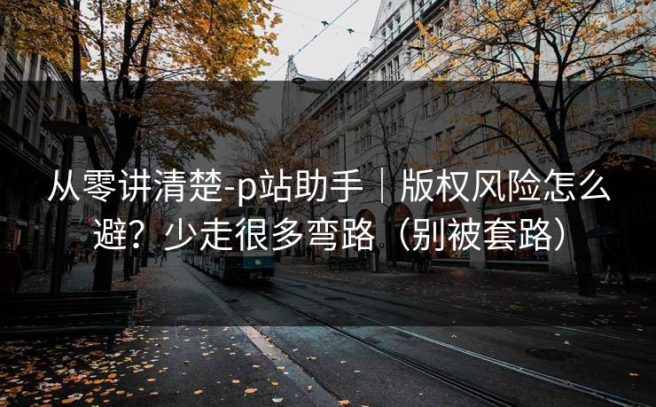 从零讲清楚-p站助手｜版权风险怎么避？少走很多弯路（别被套路）