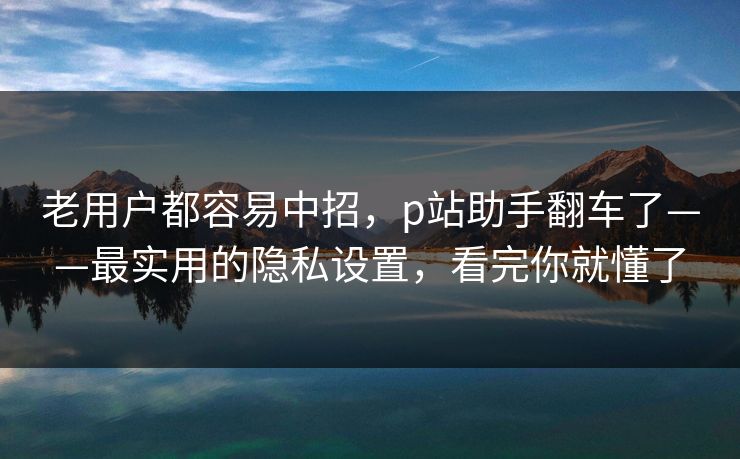老用户都容易中招，p站助手翻车了——最实用的隐私设置，看完你就懂了