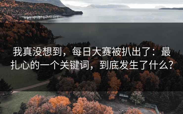 我真没想到，每日大赛被扒出了：最扎心的一个关键词，到底发生了什么？